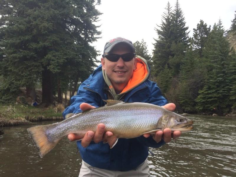 Gorgeous brook trout with North Fork Ranch Guide Service on the Private Water section.