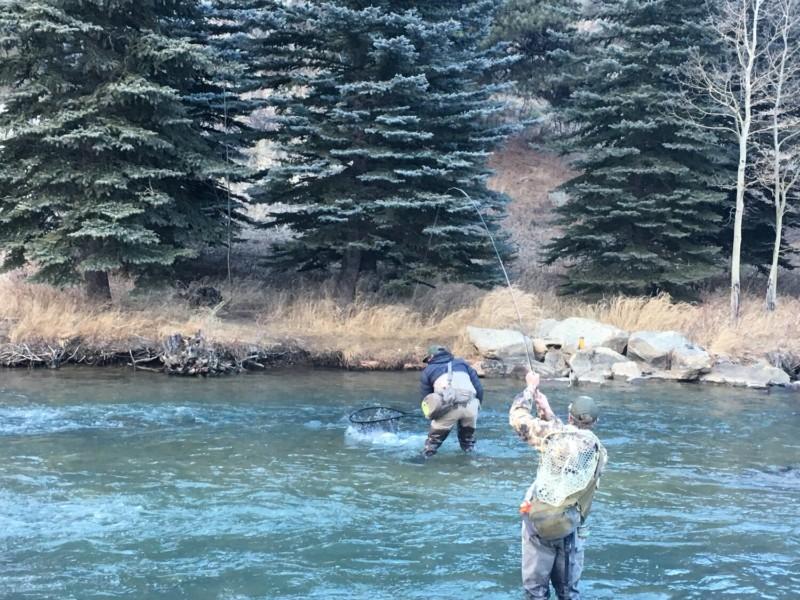 Two fly fishing anglers in catching fish in Colorado's Platte River