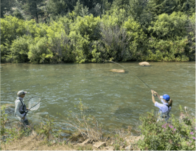 Hooked into a massive trout as North Fork Ranch Guide Service Guide lands the fish at Shawnee Meadows on the Private Water section of this premier fly fishing river.