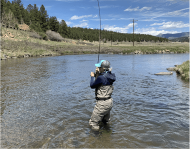 Hooked into a big trout on the South Platte River during one of North Fork Ranch Guide Service’s Abell River Ranch Guided Fly Fishing Trips.