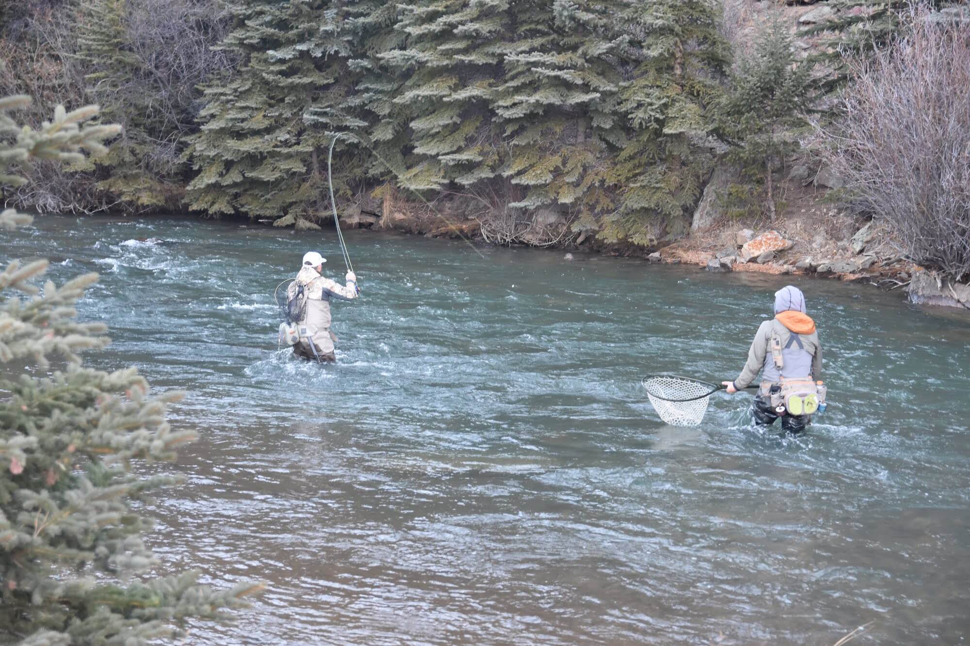 North Fork Ranch Guide Service fly fishing anglers hooked into a large trout on one of our premier private trout waters we offer guided trips on.