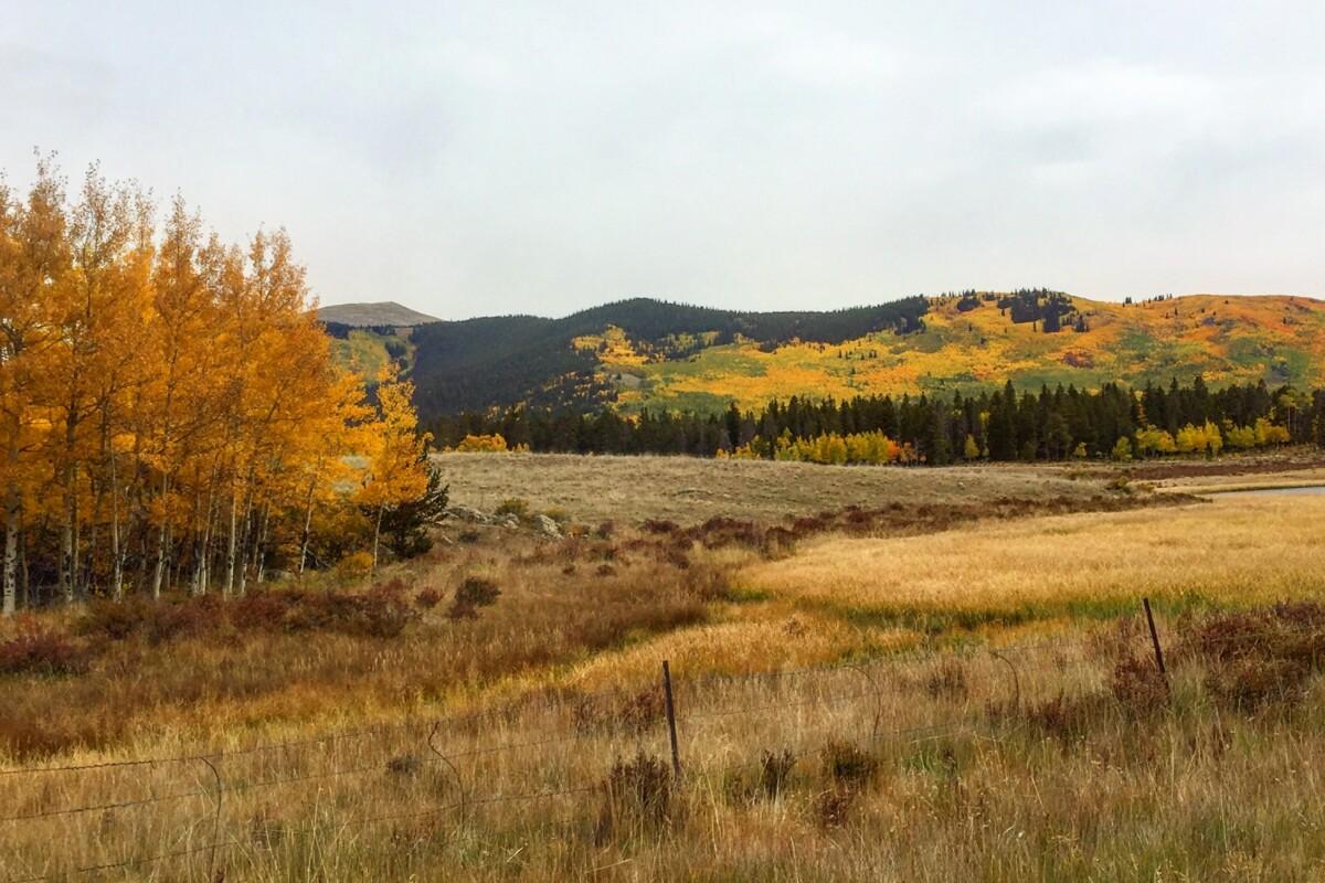 Experience Autumn in the Rockies: Fly Fishing for the Colorado