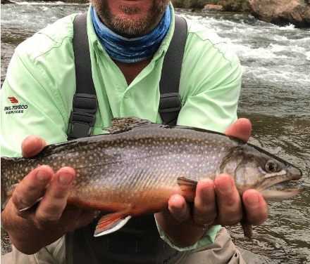 Fisherman holding brook trout