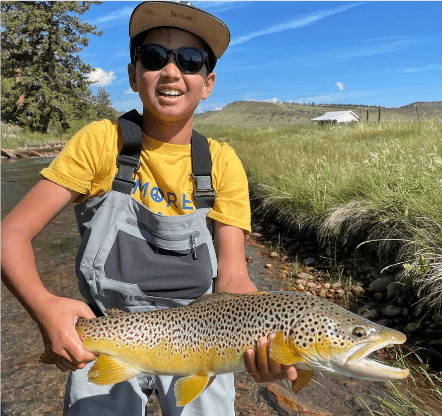 Trout Identification Landing Page