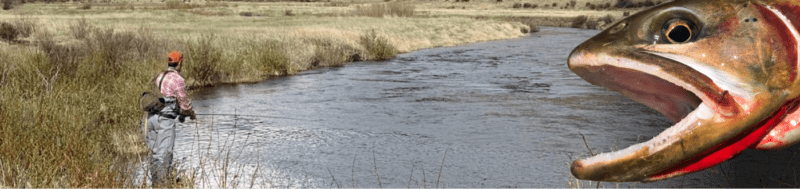 Stram fishing for cutthroat trout
