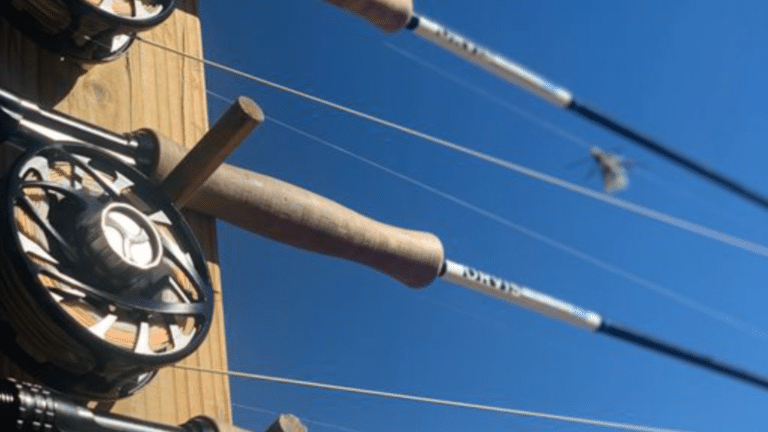 Packing List: What to Bring for Your Colorado Fly Fishing Trip