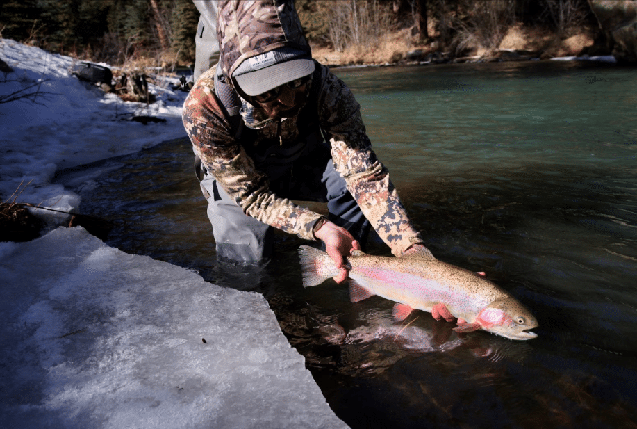 Top Flies and Hatches for Early Season Trout in Colorado