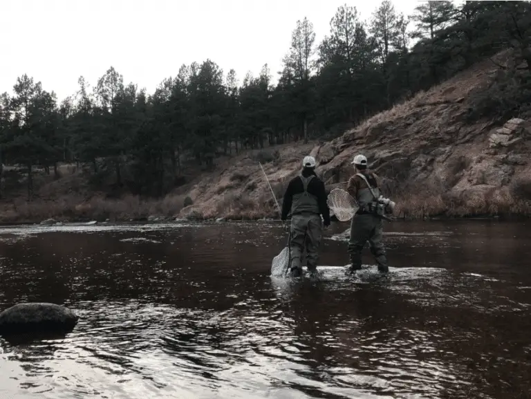 Your Guide to Your First Guided Fly Fishing Trip with North Fork Ranch Guide Service