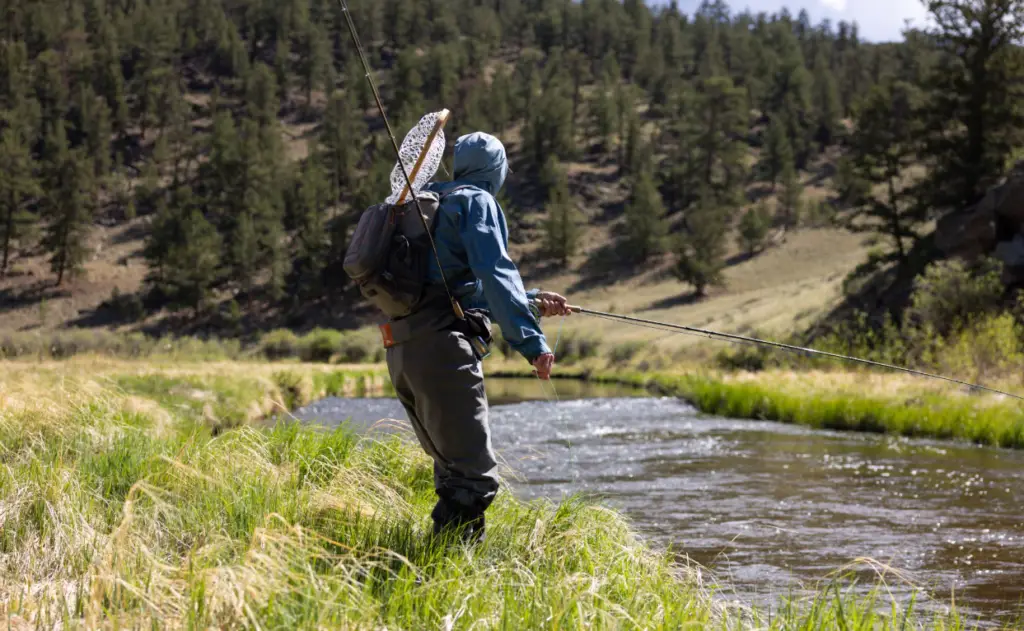 Why Fly Fishing Is Good for More Than Just Catching Fish